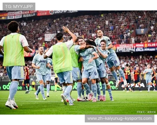 意甲球队专属球场：介绍意甲各球队的主场与球迷文化。